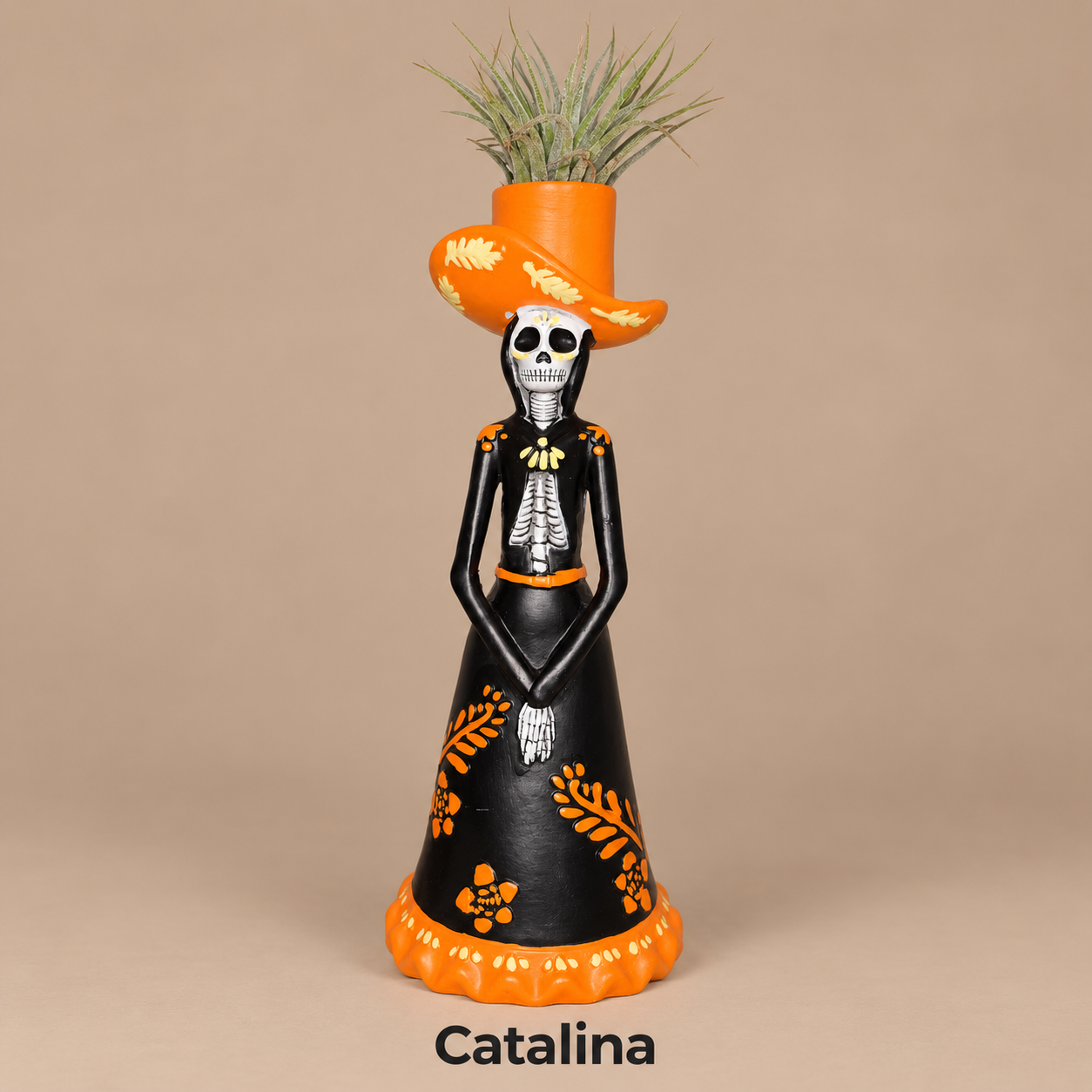 Catalina