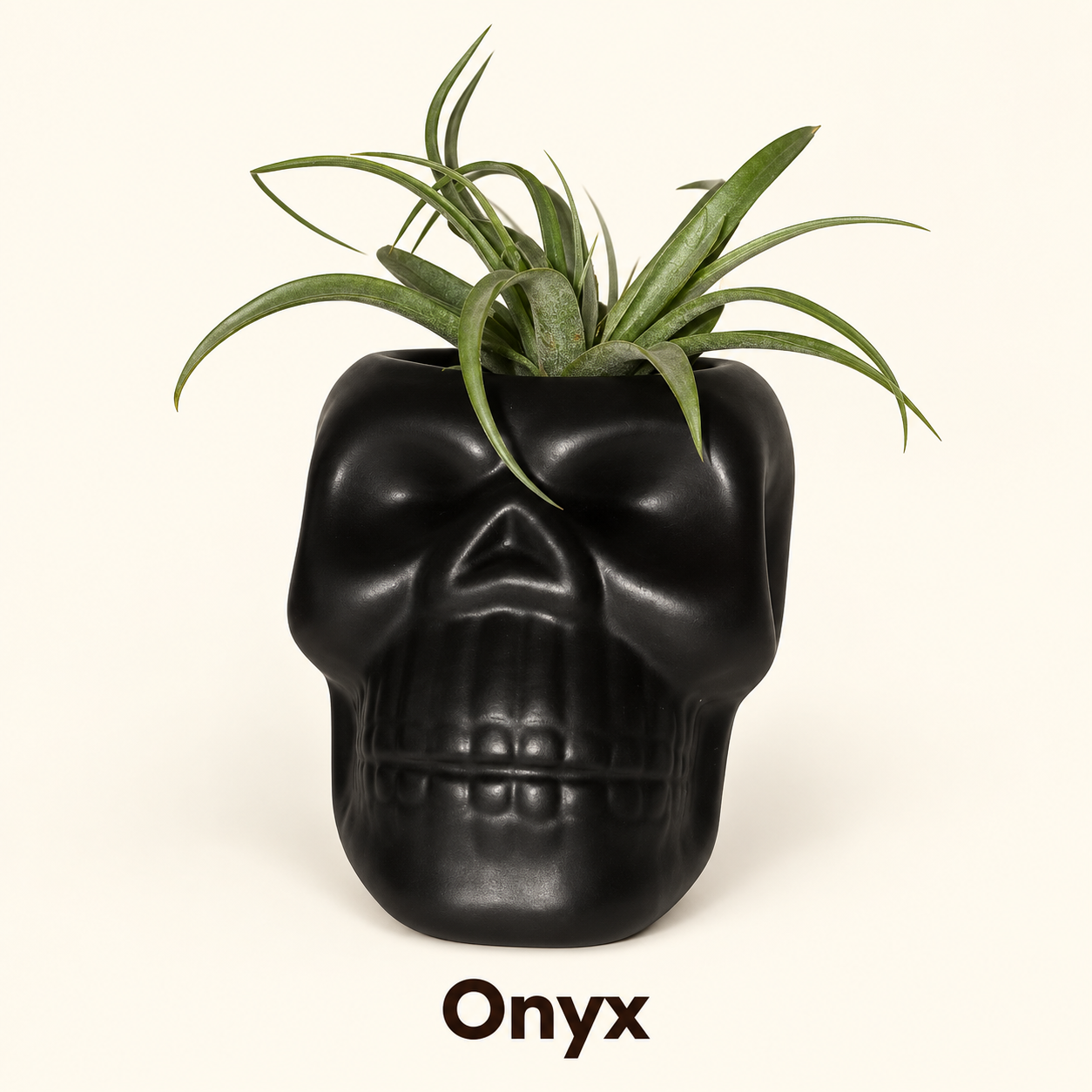 Onyx