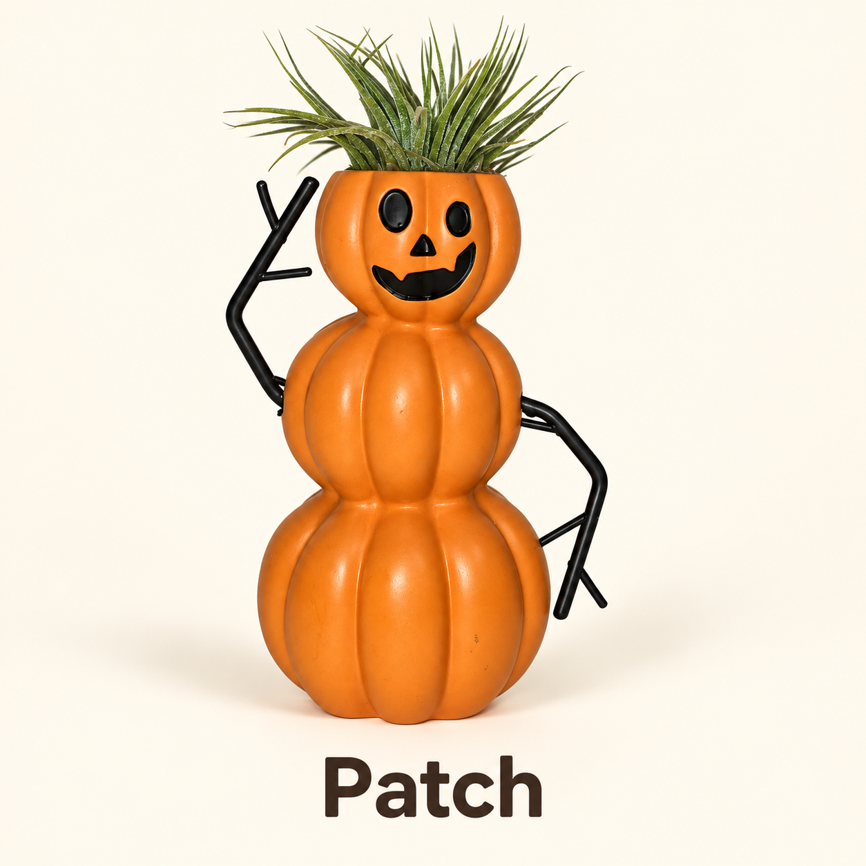 Patch