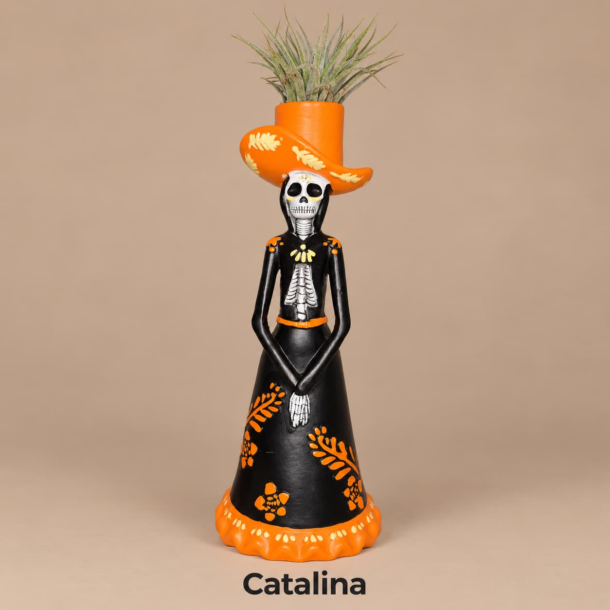 Catalina