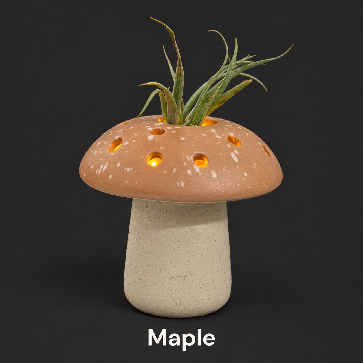 Maple