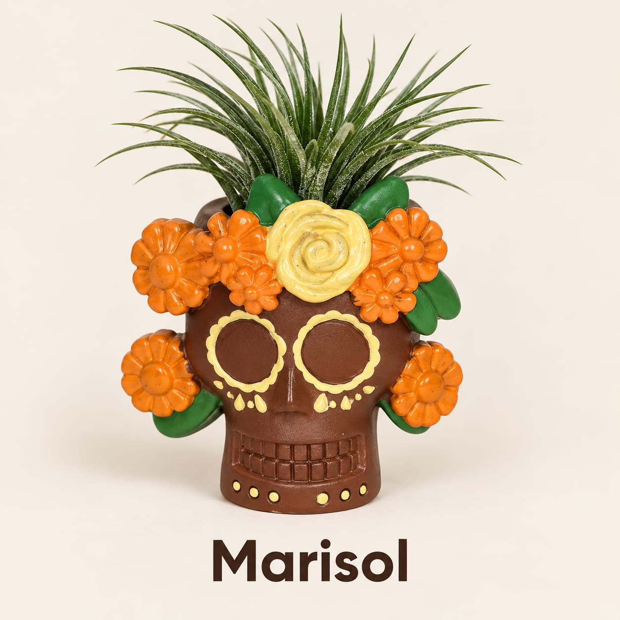 Marisol