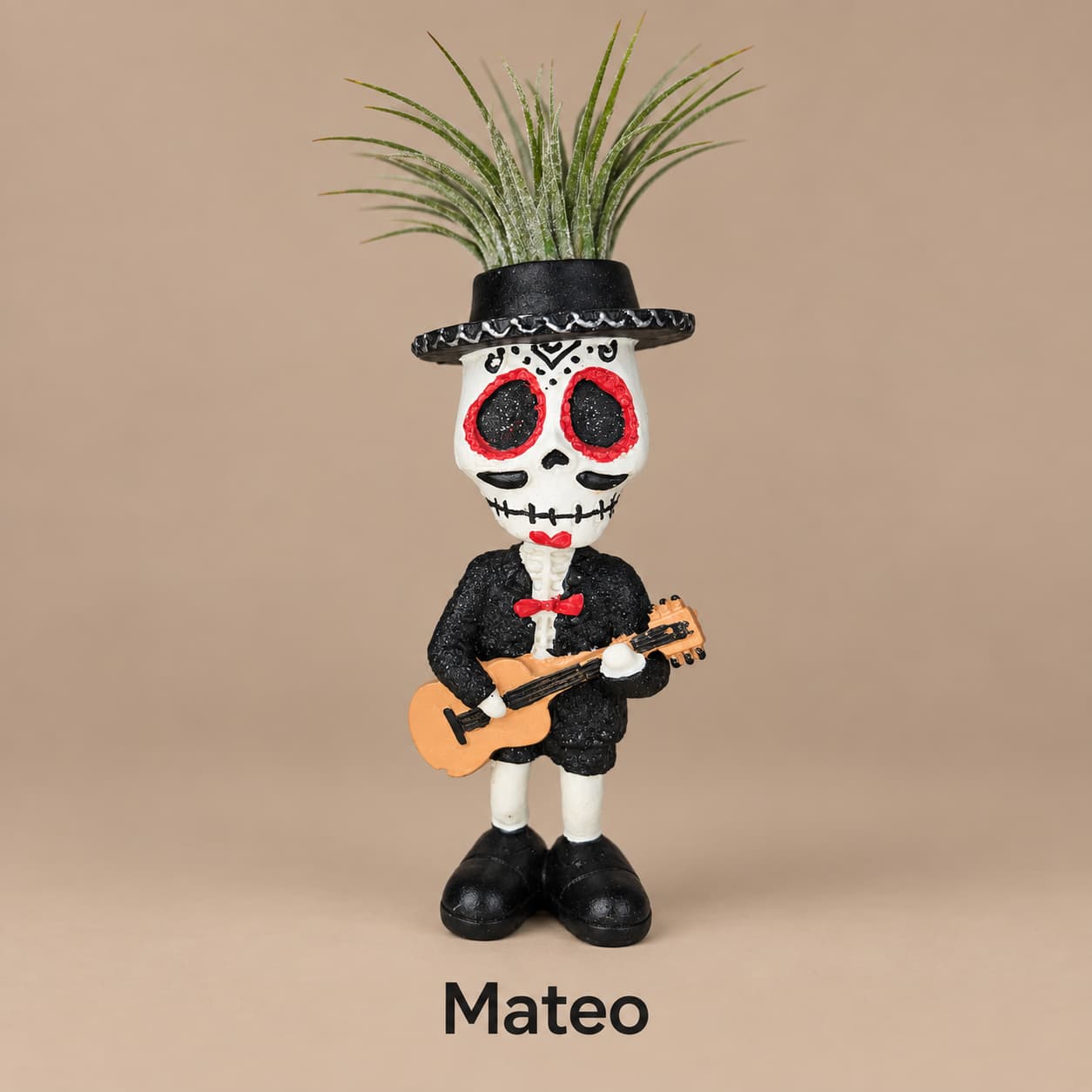 Mateo