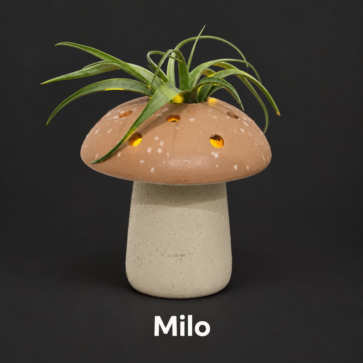 Milo
