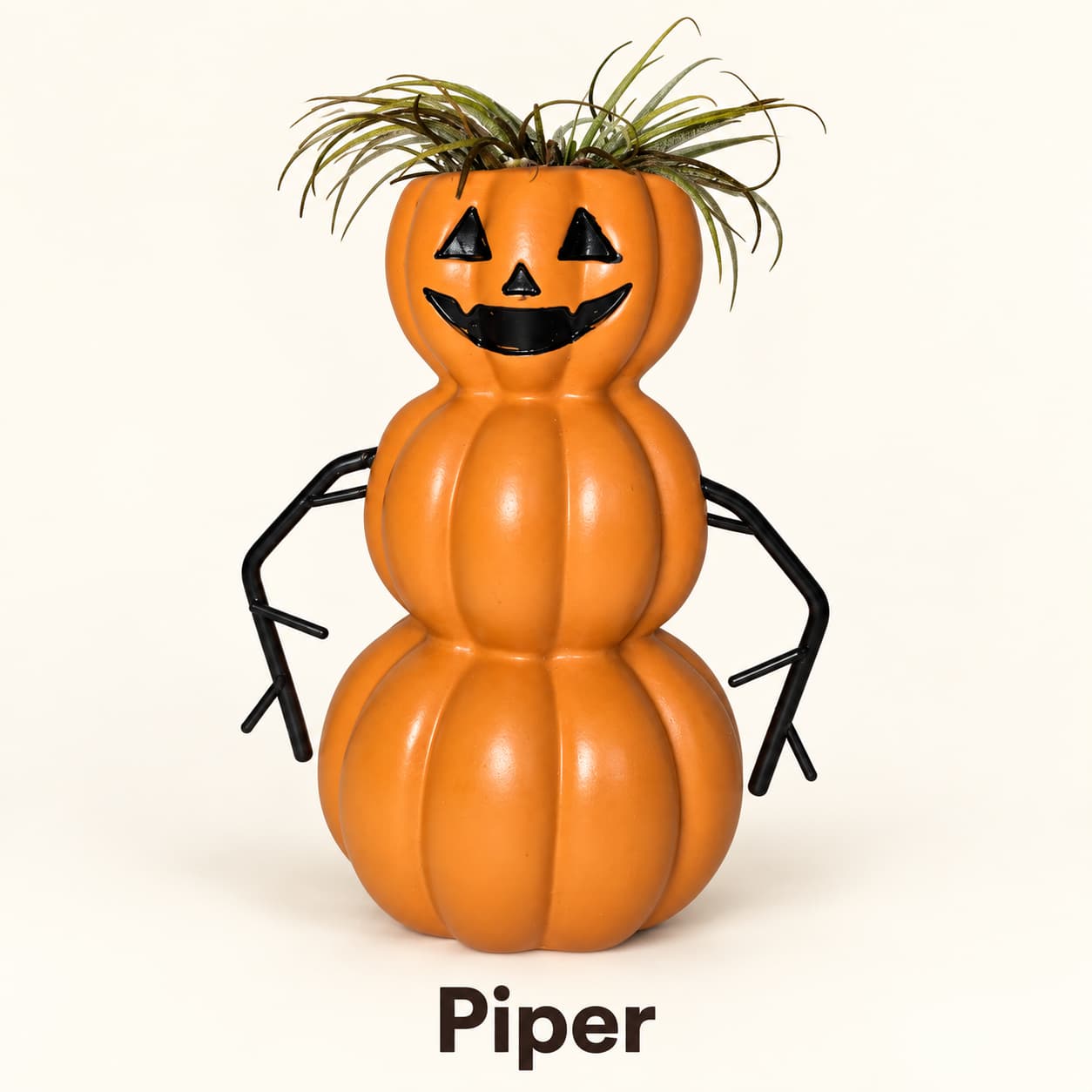 Piper